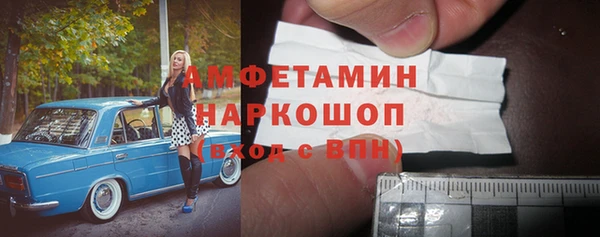 стаф Богданович