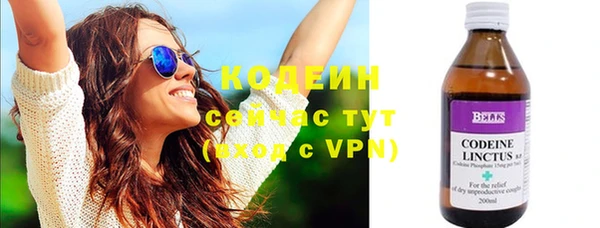 стаф Богданович