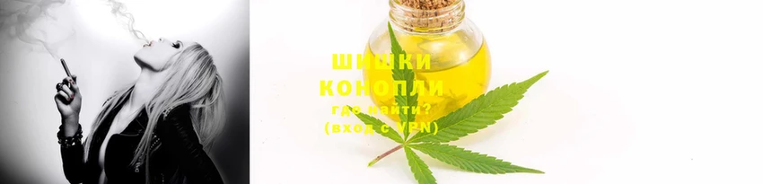 стаф Богданович