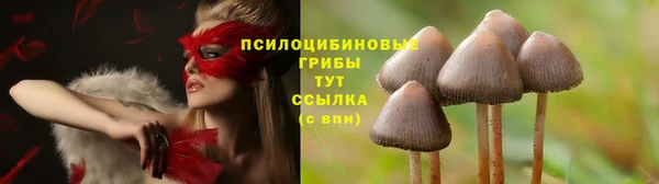 бошки Богородицк