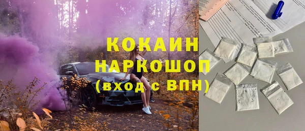 mdpv Богородск