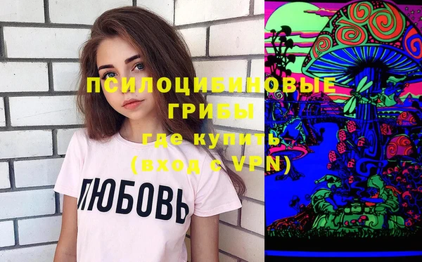 mdpv Богородск