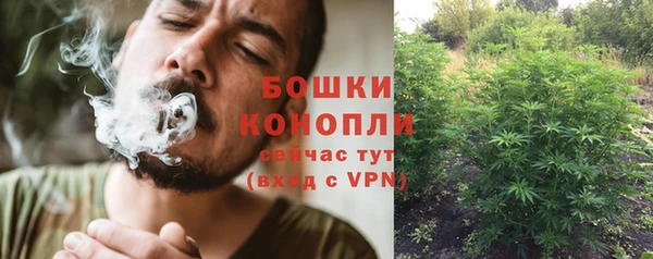 mdpv Богородск