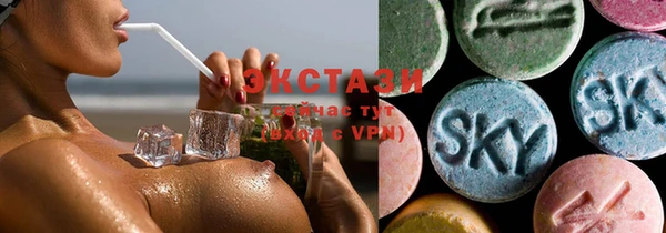 стаф Богданович