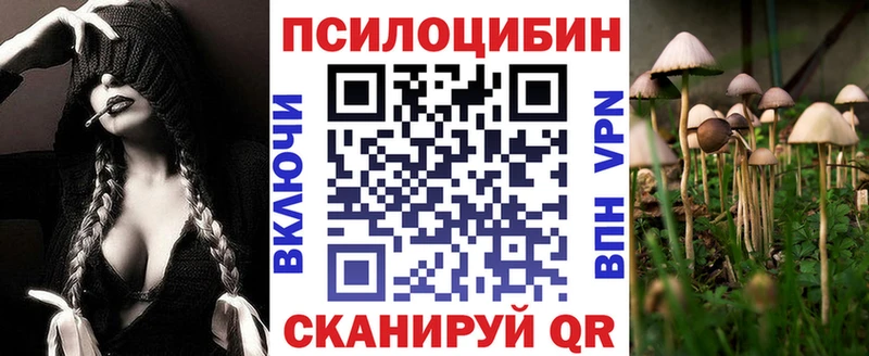Псилоцибиновые грибы Cubensis  Ковдор 